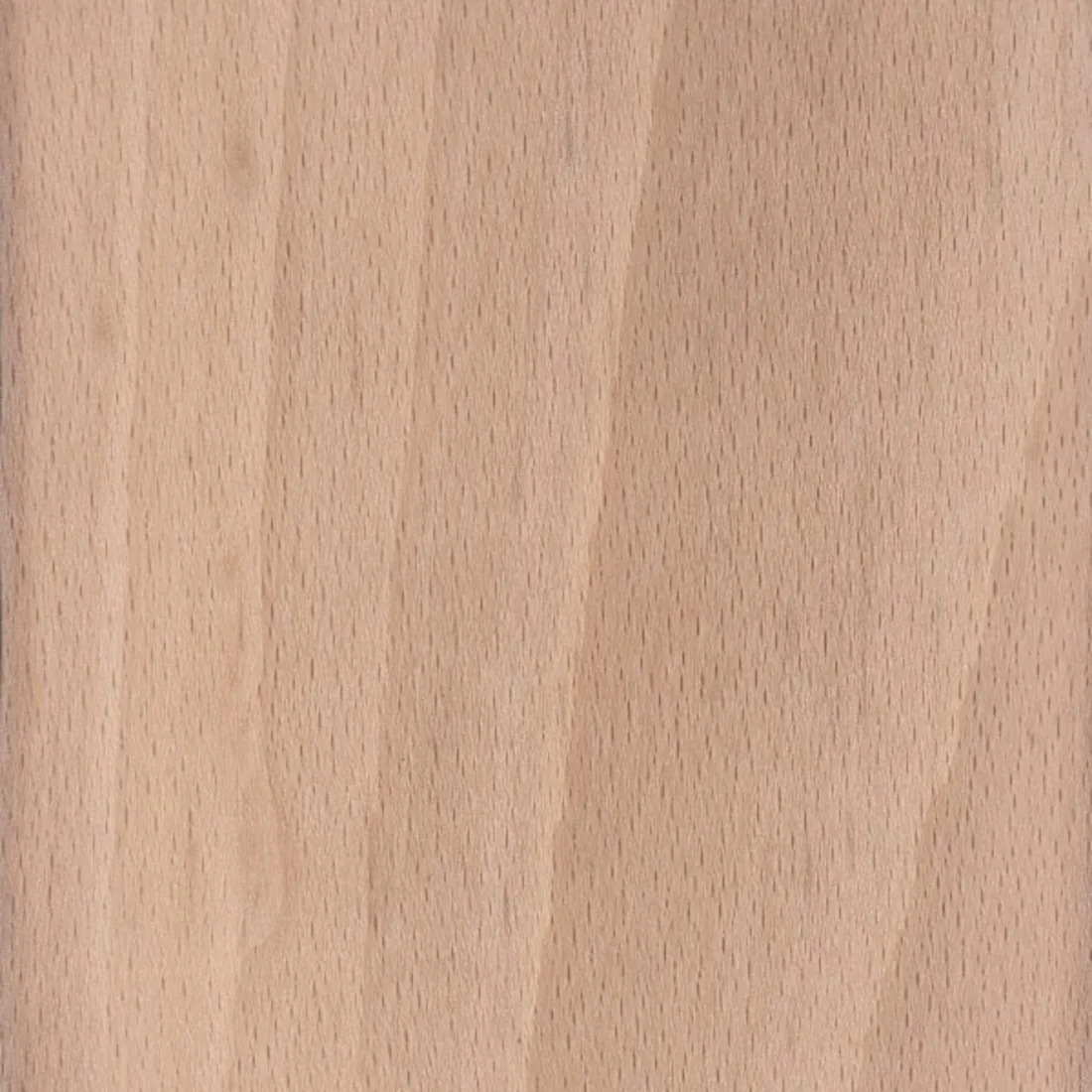 Beech wood grain swatch — pale pinkish-cream timber speckled with fine ray flecks, a dense, stable hardwood for turned balusters and newel posts