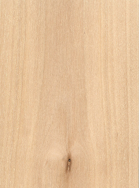 Birch wood grain swatch — pale blond, near-white timber with a fine, subtle straight grain, ideal for painted and limed spindles and newel posts